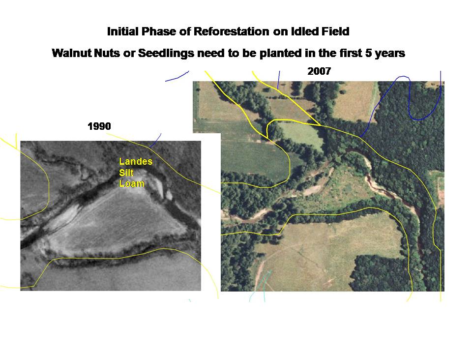 Slide3.JPG