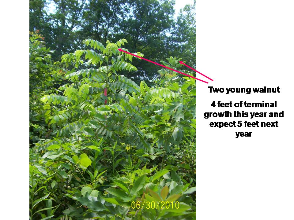 Slide6.JPG